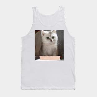 Saba cute cats Tank Top